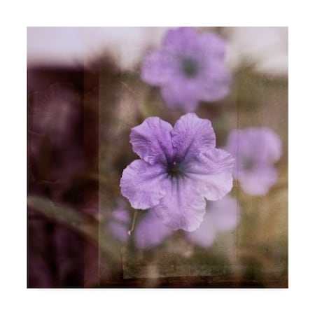Emily Robinson 'Purple Tranquility Ii' Canvas Art,24x24